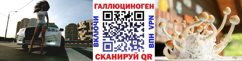 наркота  Звенигово  Галлюциногенные грибы Psilocybine cubensis 